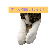 722027777