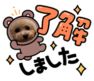 722061177
