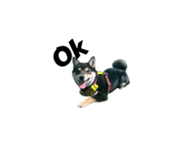 722067374