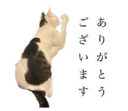 722080196