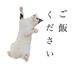 722080204