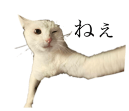 722080213