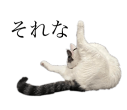 722080226