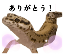 722101690