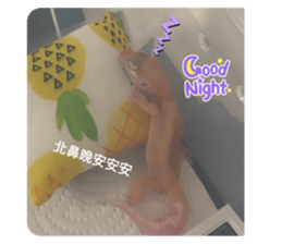 722123955