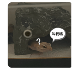 722123956