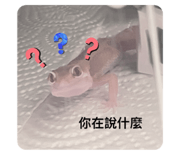 722123957