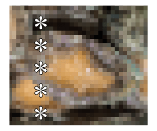 722147685
