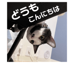 722171669