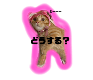 722173387