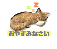 722173392