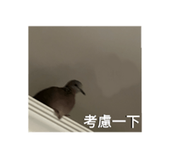 722215235