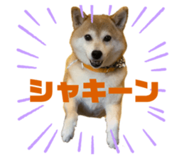 722222785