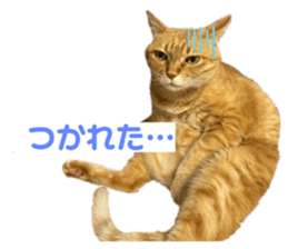 722223034