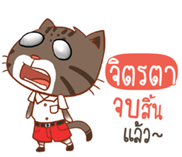 722263796