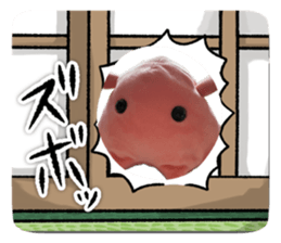 722305954