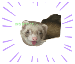 722307208