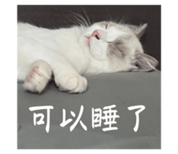 722317296