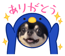 722322493