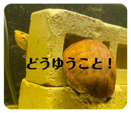 722325458