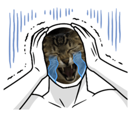 722336406
