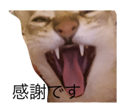 722336538