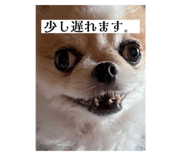 722336600