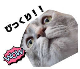 722340475