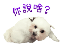 72234664