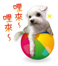 72234674