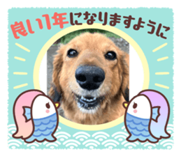 722357277