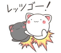 7223804