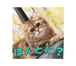 722381721