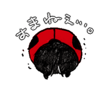 7224022