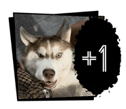 722443790