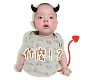 722455877