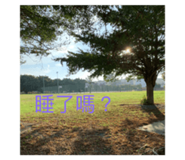 722488477