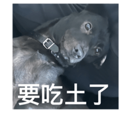 722514376
