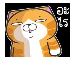 722530638