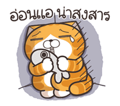 722530640