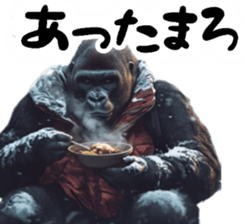 722546149