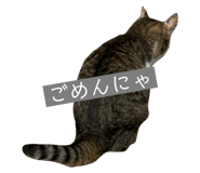 722546768