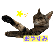 722546770