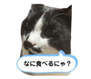 722546773