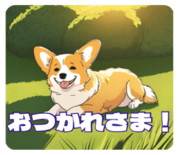 722553662