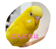 722558914