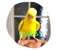 722558916