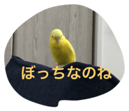 722558917