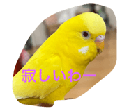 722558918