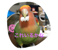 722558919